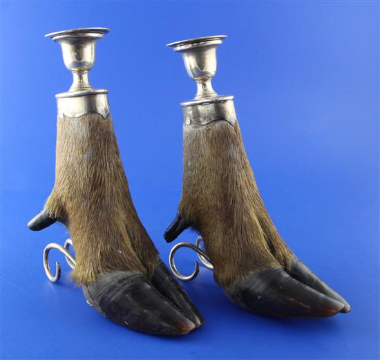 A pair of George V silver mounted stag hoof candlesticks, 7.75in.